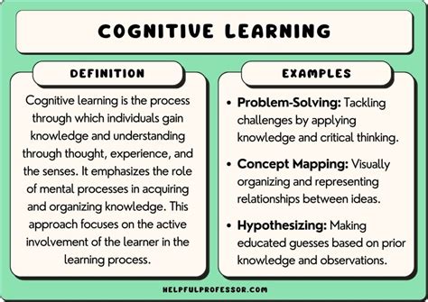  Making Sense: A Cognitive Approach to Educational Theory – Unraveling the Mysteries of Learning