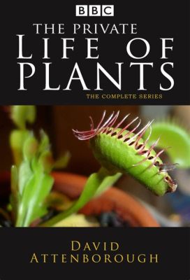  The Private Life of Plants: A Journey Through Existential Botany