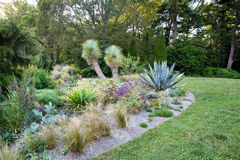 Xeriscape Gardening for the Italian Landscape:  A Desert Bloom of Design Ideas and Practical Techniques!